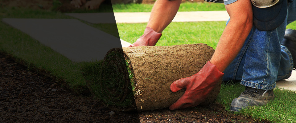 Berkeley Springs Landscapers